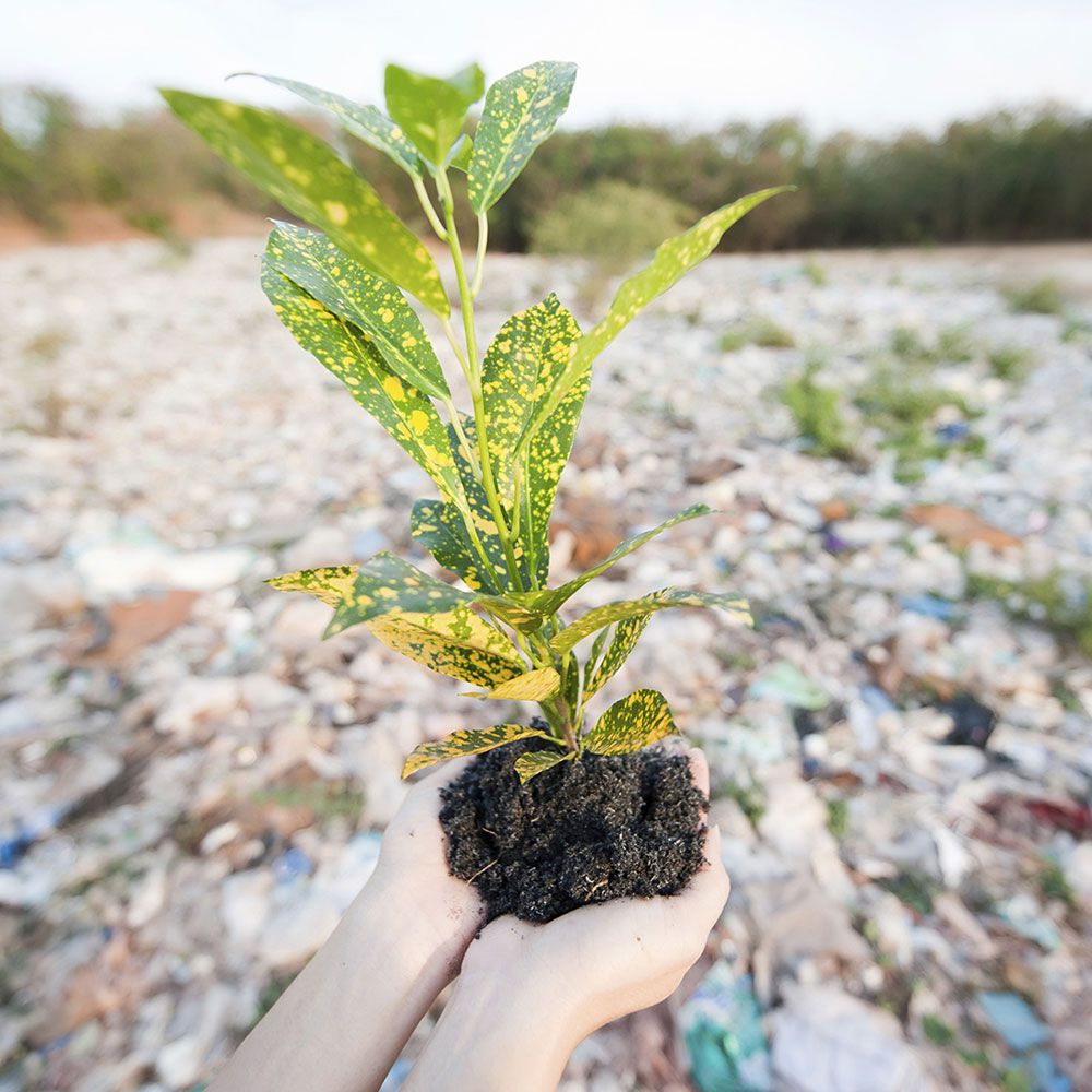 Smaltimento rifiuti speciali pericolosi Sicilia - Ecodep Smaltimento Rifiuti Sicilia