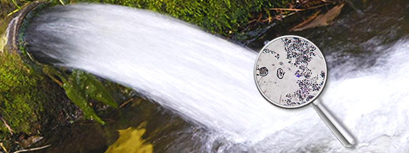 Rapporto Eea sulle sostanze chimiche nelle acque superficiali. Sostanze chimiche presenti nell'acqua che comportano rischi significativi per l'ambiente. - Ecodep Smaltimento Rifiuti Sicilia